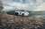 thumb-image-62157753